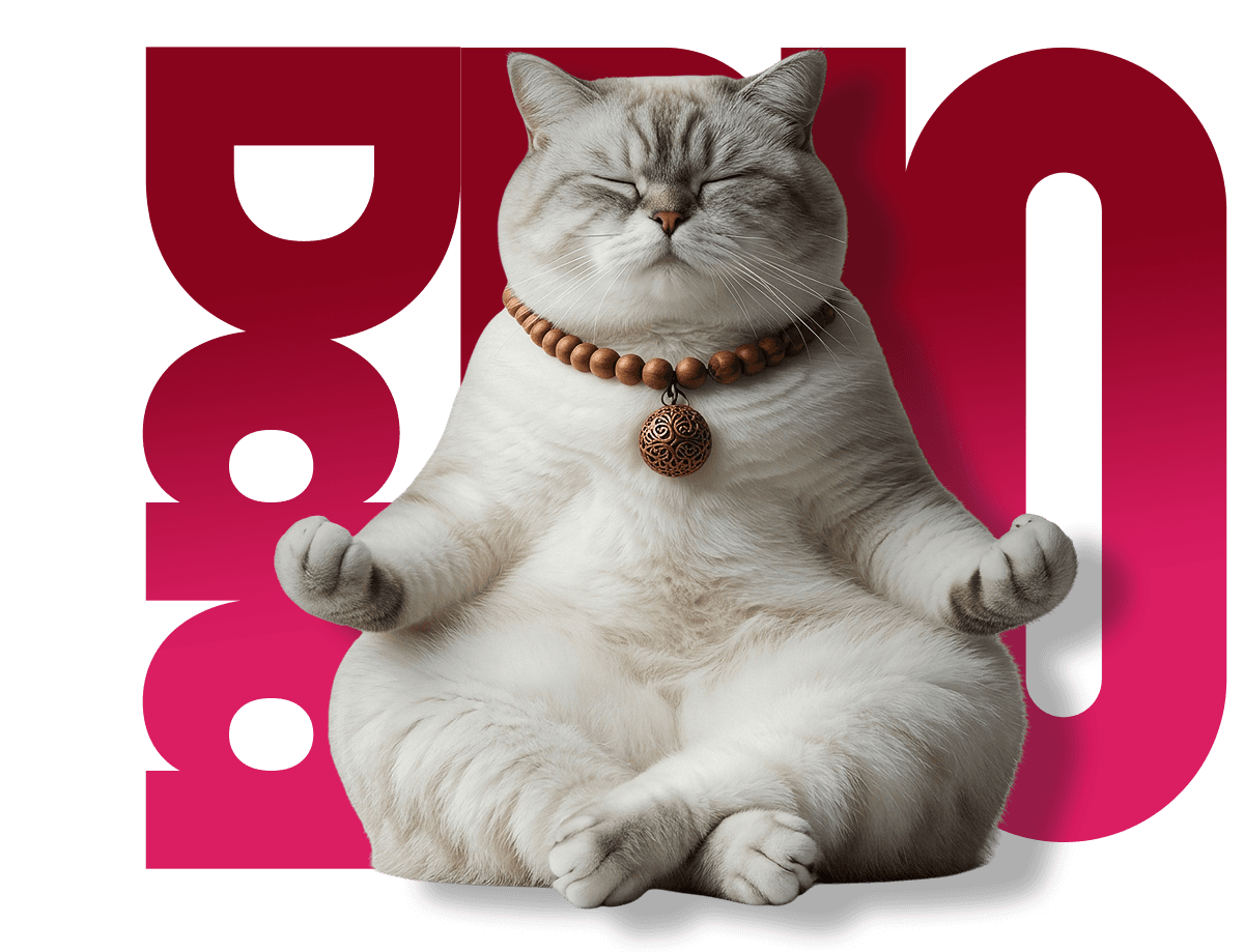 daa.bio creator profile example